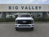 New 2025 Ford F250 Platinum image 6