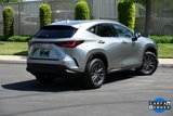 Used 2025 Lexus NX 350h AWD w/ Premium Package image 5