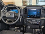 New 2025 Ford F150 STX w/ STX Black Appearance Package image 5