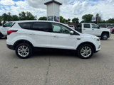 Used 2019 Ford Escape SE image 5