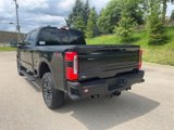 New 2025 Ford F250 Platinum image 2