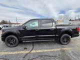 New 2025 Ford F150 STX image 4