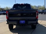 New 2025 Ford F250 Platinum image 5
