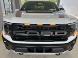 New 2025 Ford F150 Raptor image 5