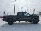 New 2025 Ford F250 XL image 4