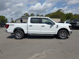 New 2025 Ford F150 XLT image 3