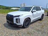 New 2025 Hyundai Palisade Calligraphy image 2