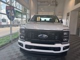 New 2025 Ford F250 XL image 2