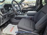New 2025 Ford F150 XLT image 5