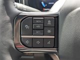 New 2025 Ford F250 Platinum w/ Tremor Off-Road Package image 5