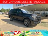 New 2025 Ford Expedition Active image 1