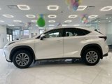 Used 2020 Lexus NX 300 AWD w/ Comfort Package image 4