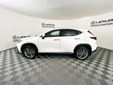 Certified 2024 Lexus NX 300h AWD w/ Luxury Package image 6