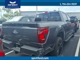New 2025 Ford F150 XLT w/ Equipment Group 302A MID image 3