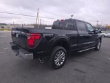 New 2024 Ford F150 XLT w/ Equipment Group 303A High image 6