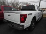 New 2025 Ford F150 XLT w/ Equipment Group 302A MID image 3