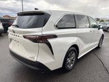Used 2023 Toyota Sienna LE image 5