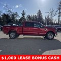 New 2025 Ford F150 XLT w/ Equipment Group 302A MID image 2