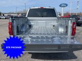 New 2024 Ford F150 STX image 4