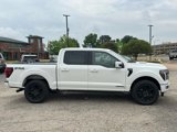 New 2025 Ford F150 Platinum image 4