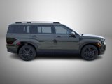 New 2025 Hyundai Santa Fe Calligraphy image 4