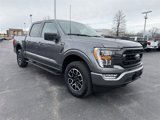 Used 2023 Ford F150 XLT w/ Equipment Group 302A High image 4