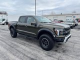New 2025 Ford F150 Raptor image 1