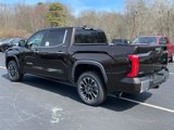 New 2025 Toyota Tundra Limited image 5
