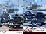 View Video