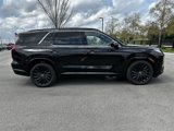New 2025 Hyundai Palisade Calligraphy image 5
