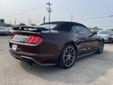 Used 2018 Ford Mustang Premium w/ Equipment Group 201A image 5