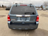 Used 2010 Ford Escape Limited image 4