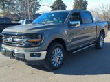 New 2025 Ford F150 XLT w/ Equipment Group 303A High image 2