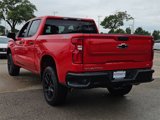Used 2024 Chevrolet Silverado 1500 LT Trail Boss w/ Protection Package image 6