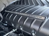 Used 2025 Ford F150 XL w/ Equipment Group 103A High image 2
