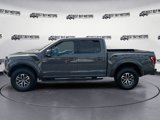 Used 2018 Ford F150 Raptor w/ Equipment Group 802A Luxury image 5