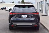 Used 2023 Lexus RX 350 Premium Plus w/ Accessory Package (Z1) image 5