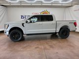 New 2025 Ford F150 Lariat image 2