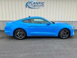 Used 2022 Ford Mustang GT Premium w/ Equipment Group 401A image 3
