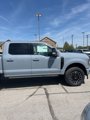 New 2025 Ford F250 Platinum image 4