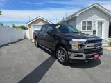 Used 2019 Ford F150 XLT w/ Equipment Group 302A Luxury image 3