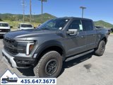 New 2025 Ford F150 Raptor image 3