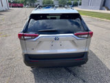 Used 2023 Toyota RAV4 XLE Premium image 4