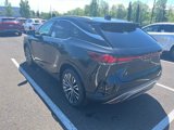 New 2025 Lexus RX 350 image 2