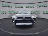 Used 2017 Toyota 4Runner SR5 Premium image 3