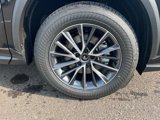New 2026 Lexus NX 350h AWD w/ Premium Package image 5