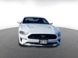 Used 2023 Ford Mustang Premium image 4