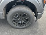 New 2025 Ford F150 Platinum image 4