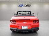 Used 2024 Ford Mustang Premium image 5