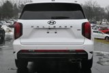 New 2025 Hyundai Palisade Calligraphy image 6